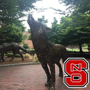 Meet your Posher, Lynne